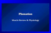 Revised   review of phonatory physiology