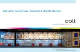 Industrie numérique, fiscalité & digital studies - Michel Calmejane