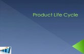 Product life cycle: notes & exercise