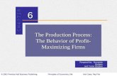 The Production Process: The Behavior of Profit Maximizing Firms