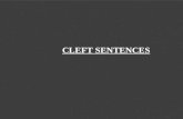 Cleft sentences