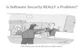 Application Software Security Testing