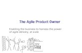 What is an Agile Product Owner