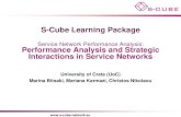 S-CUBE LP: Performance Analysis and Strategic Interactions in Service Networks