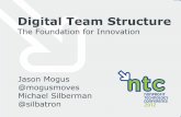 Digital Team Structure: The Foundation for Innovation