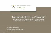 Towards Bottom up semantic services definition