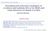 GRM 2013: Breeding and selection strategies to combine and validate QTLs for WUE and heat tolerance of wheat in China - R Jing
