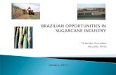 Brazilian sugarcane mills for foreign investors