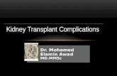 Kidney Transplant Complications in Sudanese Patients