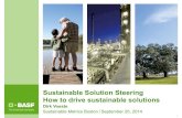 Sustainable Solution Steering at BASF