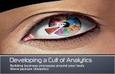 Developing a cult of analytics