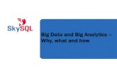 Big Data and Big Analytics - Why, what and how