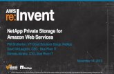 NetApp Private Storage for AWS (ENT216) | AWS re:Invent 2013