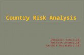 Grp15 country risk analysis