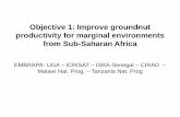 TLM III: Improve groundnut productivity for marginal environments from sub-Saharan Africa – D Foncéka