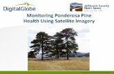 2013 ASPRS Track, Monitoring Ponderosa Pine Health Using Satellite Imagery by Kathleen Johnson
