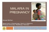 Malaria in pregnancy