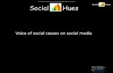 Voices of social causes and social media