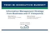 Information Management Strategy from Business and IT Viewpoints