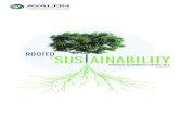 2012 Corporate Sustainability Report Summary
