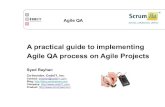 Practical Agile QA