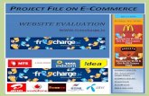 E-Commerce Project File on Website Evaluation