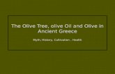 HISTORY OF OLIVE OIL IN GREECE