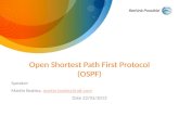OSPF Basics