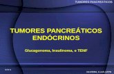 Glucagonoma, Insulinoma e Tumores endócrinos não funcionantes