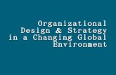 23576071 Organizational Design Strategy in a Changing Global Environment