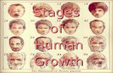 Stages of Human Growth (Pre-natal development - Senescence)