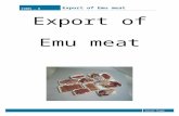 Emu Meat Export