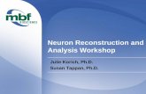 Neuron Reconstruction and Analysis Workshop