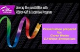 Ribbon Incentive Program Overview