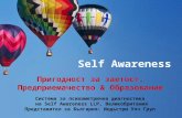 Self awareness system   bg