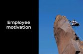 Employee Motivation - TEDO