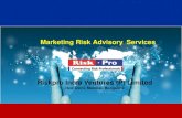 Marketing risk advisory brochure 2013 riskpro