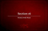 Schneider: Section 16 Forms of the Noun