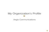 My Organization’S Profile1