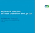 Beyond the Password: Business Enablement Through Identity ...