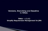 Versions, Branching and Baseline in RMsis