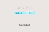 Fresh Tilled Soil UX/UI Capabilities