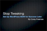 Stop Tweaking: Setting Up WordPress Now for Success Later