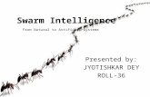 Jyotishkar dey roll  36.(swarm intelligence)
