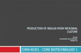 Production of insulin from microbial culture