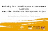 Andrew Bubb: 'Establishing the environmental assessment framework and national network of monitoring sites'. Reducing feral camel impacts across remote Australia: Australian Feral
