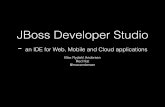 Case study: JBoss Developer Studio, an IDE for Web, Mobile and Cloud applications