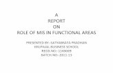 Role of mis in functional areas