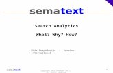 Search analytics what why how - By Otis Gospodnetic