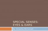 Special senses presentation